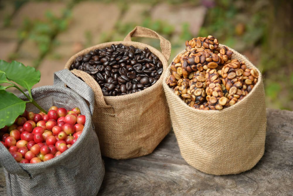 Quais os cafés mais caros do mundo?
